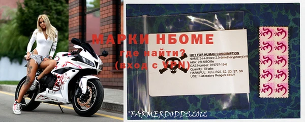стафф Арсеньев