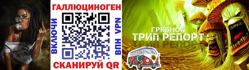 Галлюциногенные грибы мухоморы  Дмитриев 