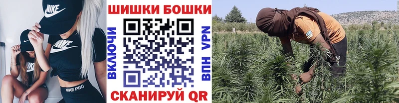 Каннабис White Widow  kraken зеркало  Дмитриев 